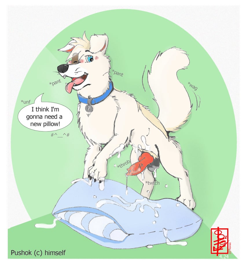 Pushok Rule 34 Image