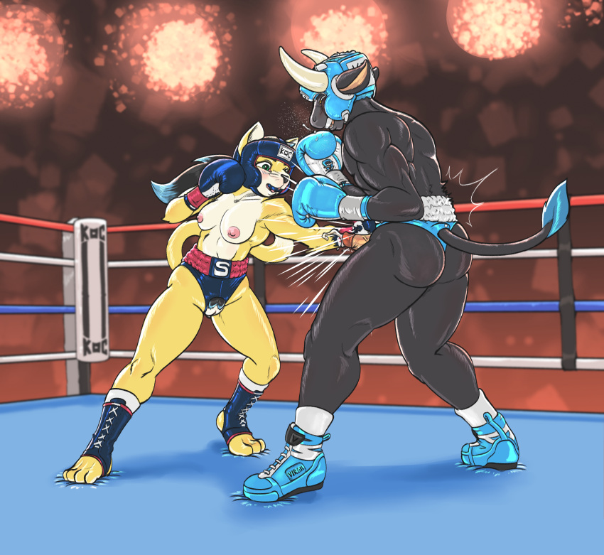 1boy 1girls 2021 absurd_res anthro aqua_boxing_gloves aqua_boxing_headgear aqua_gloves biceps blush bodily_fluids bottomwear bovid bovine boxing boxing_gloves boxing_headgear boxing_ring bra cattle clothed clothing crotchless_clothing cum cumshot dcheese digital_media_(artwork) domestic_cat duo ejaculation erection felid feline felis female fight fighting_ring genital_fluids genitals hair handwear headgear hi_res horn humanoid_genitalia koc larger_male male male/female mammal mixed_boxing muscular muscular_male navy_blue_boxing_gloves navy_blue_boxing_headgear navy_blue_gloves nipples penis punch pussy simple_background size_difference smaller_female smile sport thong topless underwear