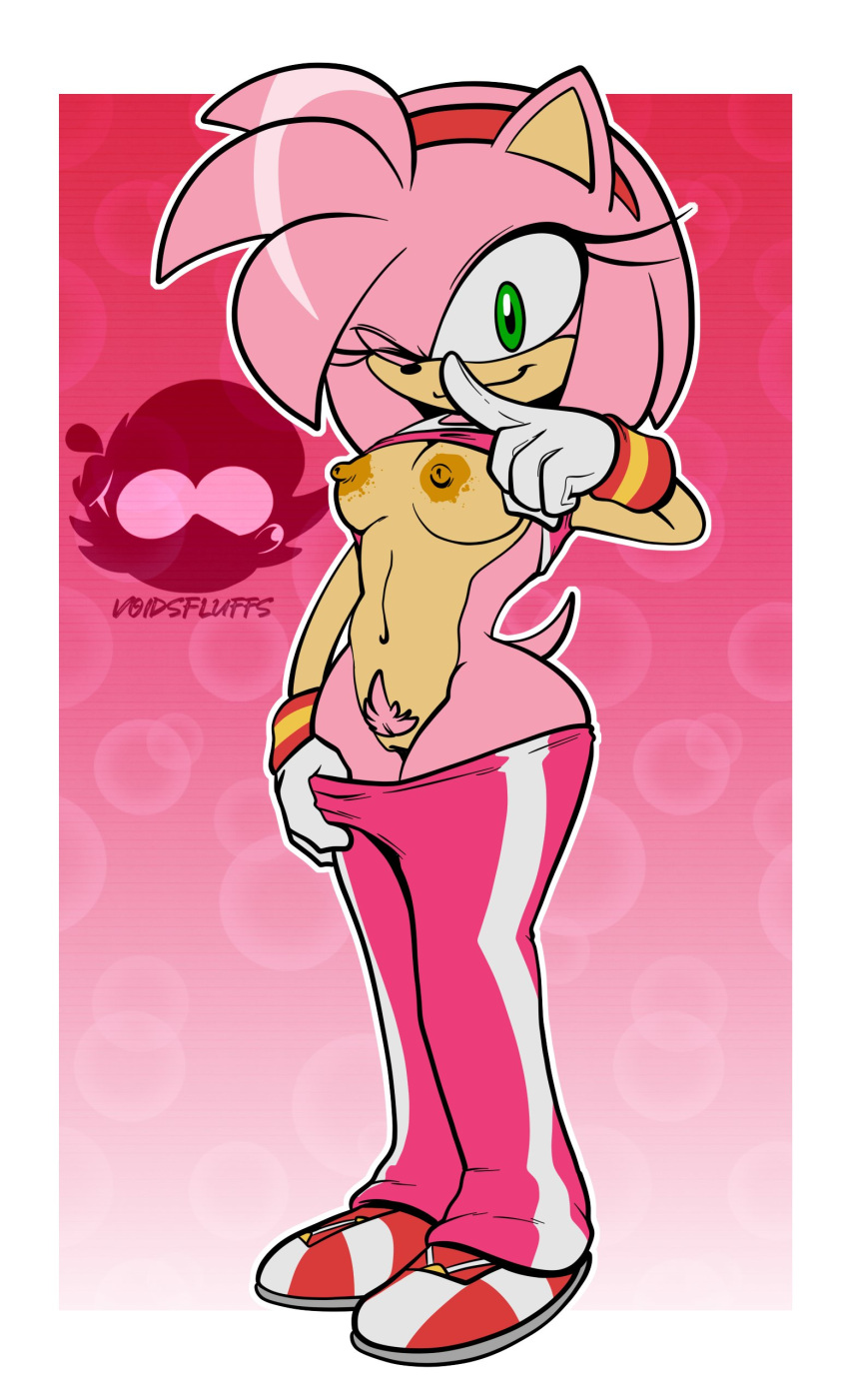 Sonic The Hedgehog (Series) Rule 34 Image