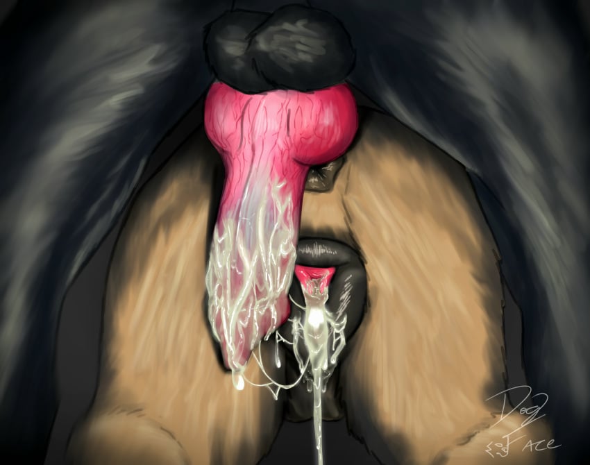 absurd_res aftermath anatomically_correct anatomically_correct_genitalia anatomically_correct_penis anatomically_correct_vulva animal_genitalia animal_penis animal_vulva anus backsack balls bodily_fluids canid canine canine_genitalia canine_penis canine_vulva canis cum cum_drip cum_in_vagina cum_inside cum_on_penis cumshot dogface domestic_dog dripping duo ejaculation excessive_cum excessive_genital_fluids female feral feral_on_feral flashlight genital_fluids genitals hi_res knot knotted_penis male male/female mammal offscreen_male penis vulva