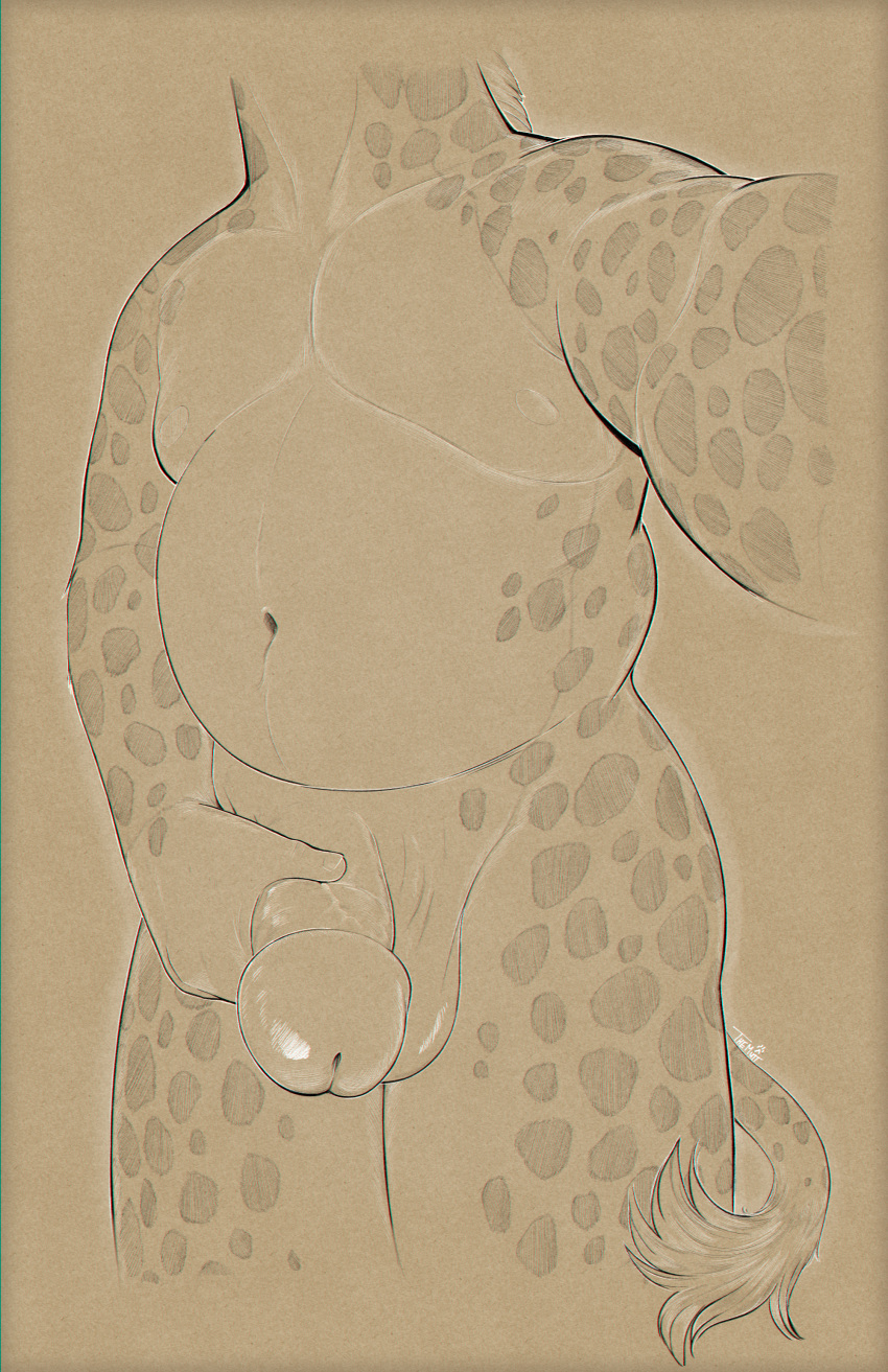 Thesiggy Rule 34 Image