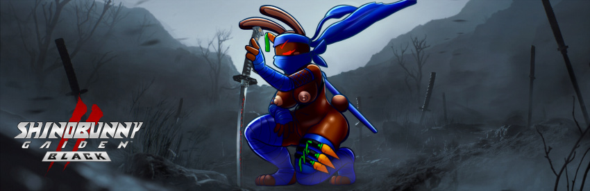 Ninja Gaiden Rule 34 Image