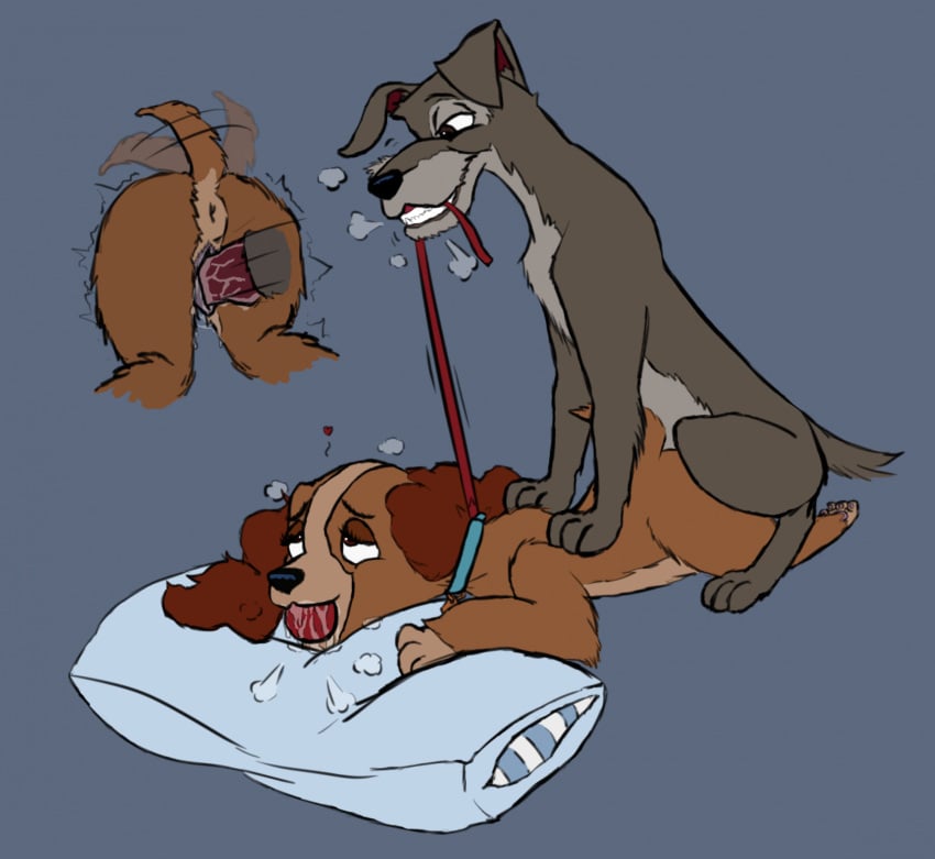 Lady (Lady And The Tramp) Rule 34 Image
