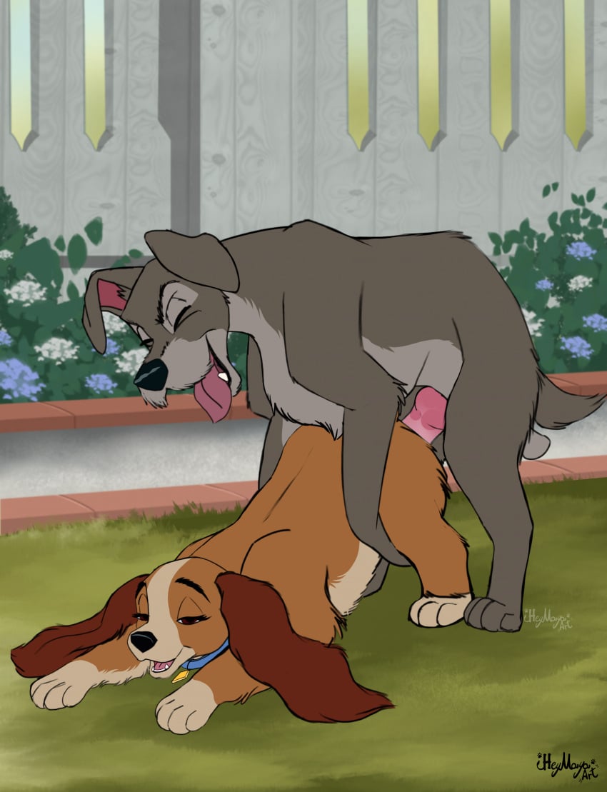 Lady (Lady And The Tramp) Rule 34 Image