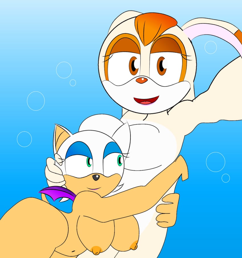 Sonic (Series) Rule 34 Image
