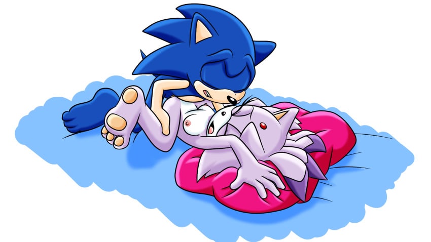 1boy 1girls anthro black_nose blaze_the_cat blue_body breasts closed_eyes domestic_cat eyelashes feline female forehead_jewel furry hedgehog interspecies male male/female mammal nipples open_mouth pawpads penetration penis purple_body sega sex small_breasts sonaze_ sonic_(series) sonic_the_hedgehog sonic_the_hedgehog_(series) sonicguru spread_legs straight tagme tan_body toes vaginal_penetration white_body yellow_eyes