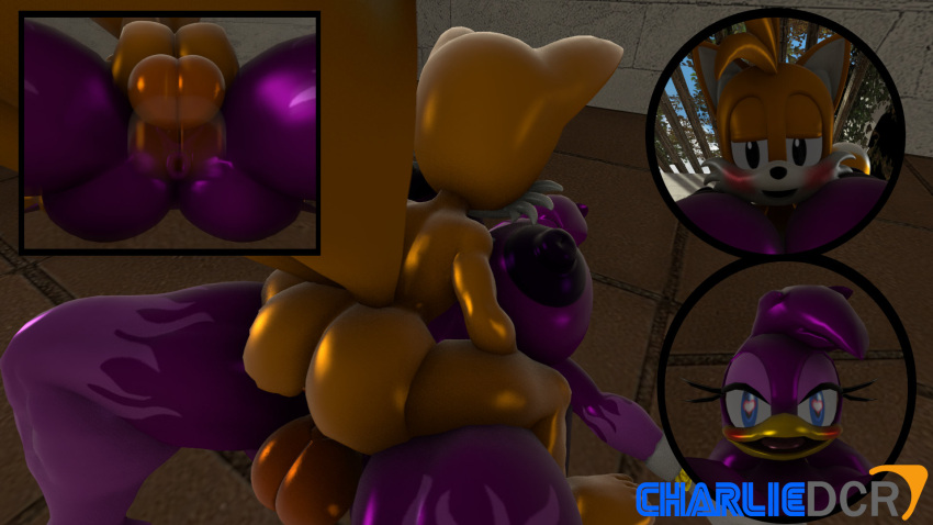 3d avian balls beak bird blue_eyes blush bouncing_breasts breasts charliedcr clothing cum duo eyelashes female fox fur gloves heart_eyes large_penis larger_female male penis purple_body purple_hair sex size_difference smaller_male smile sonic_(series) tails wave_the_swallow white_body