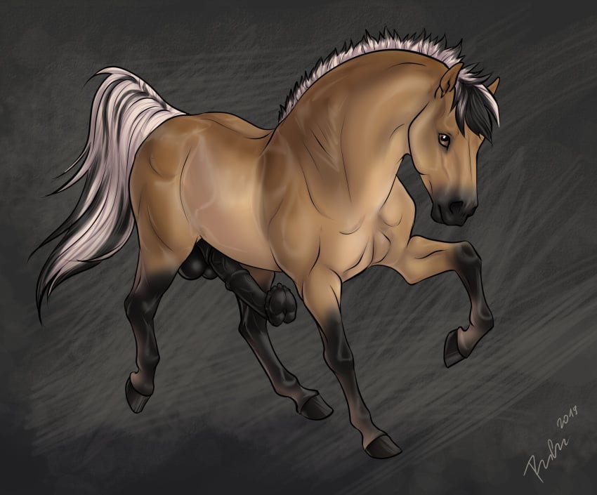 absurd_res anatomically_correct anatomically_correct_genitalia anatomically_correct_penis animal animal_genitalia animal_penis arvakr balls draft_horse equid equine equine_penis erection feral fjord_horse flare_(disambiguation) flared_penis fur genitals hair hi_res hooves horse male mammal penis rufciu simple_background solo tan_body tan_fur