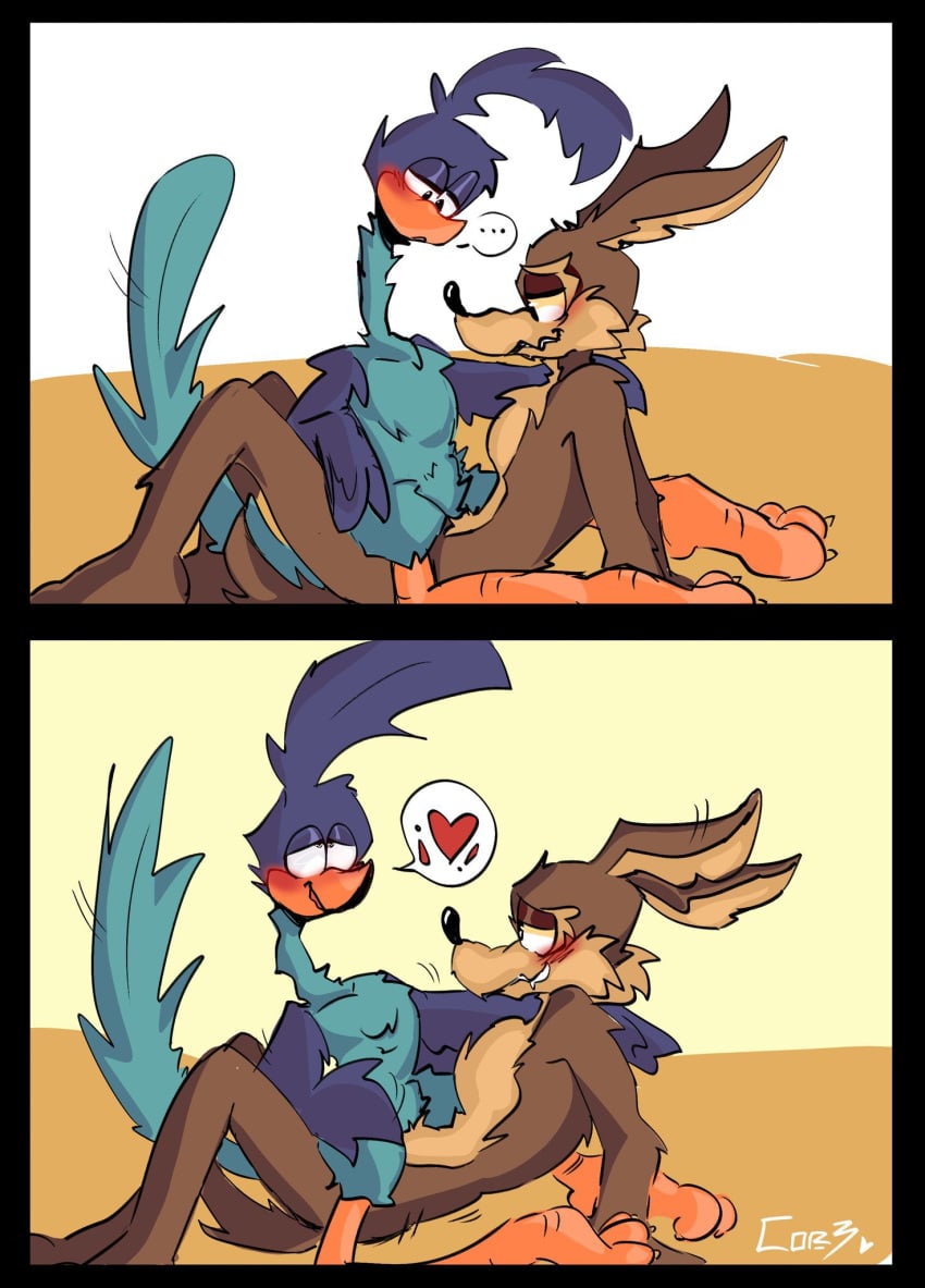 Road Runner (Looney Tunes) Rule 34 Image