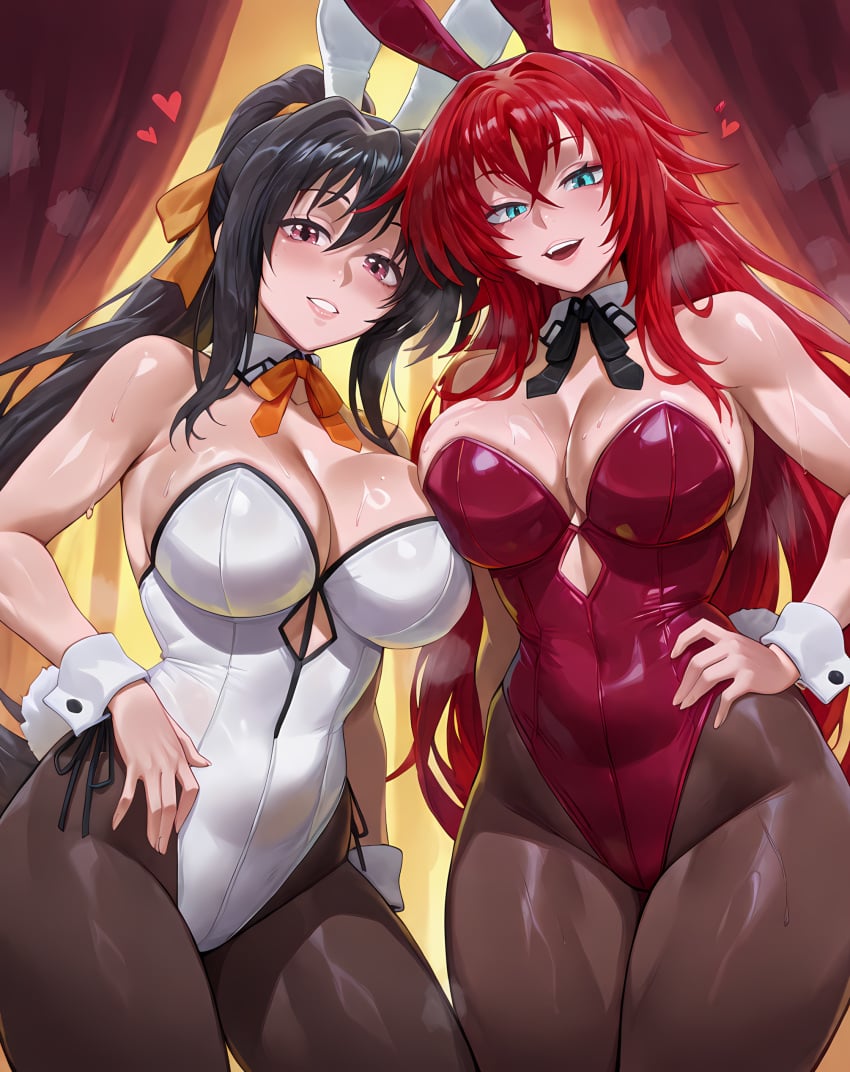 Akeno Himejima Rule 34 Image
