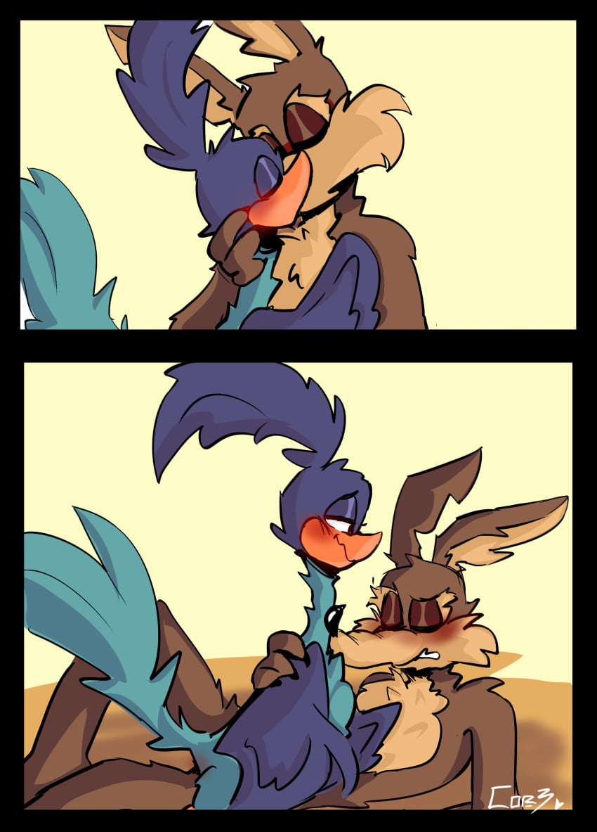 Road Runner (Looney Tunes) Rule 34 Image