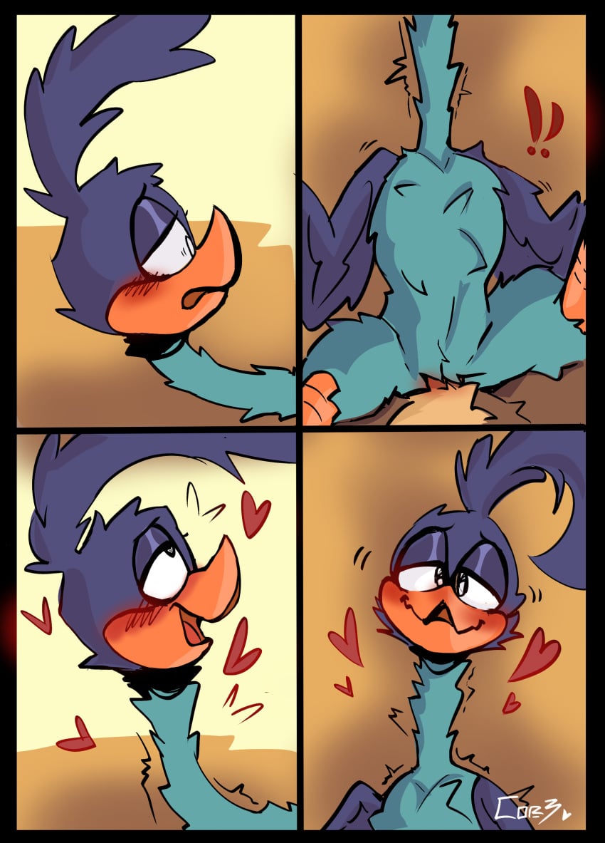 Road Runner (Looney Tunes) Rule 34 Image