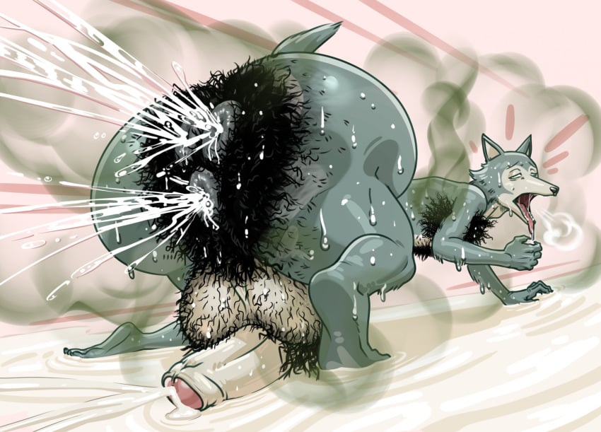 anal anus ass balls beastars big_butt big_penis bodily_fluids body_hair butt_hair canid canine canis cum ejaculation fur genital_fluids genitals hair hairy hairy_balls hi_res huge_butt huge_cock hyper hyper_genitalia hyper_penis legoshi_(beastars) lotolotl mammal multi_anus musk penis pubes pussy_ejaculation smelly squart steam sweat vaginal_fluids wolf