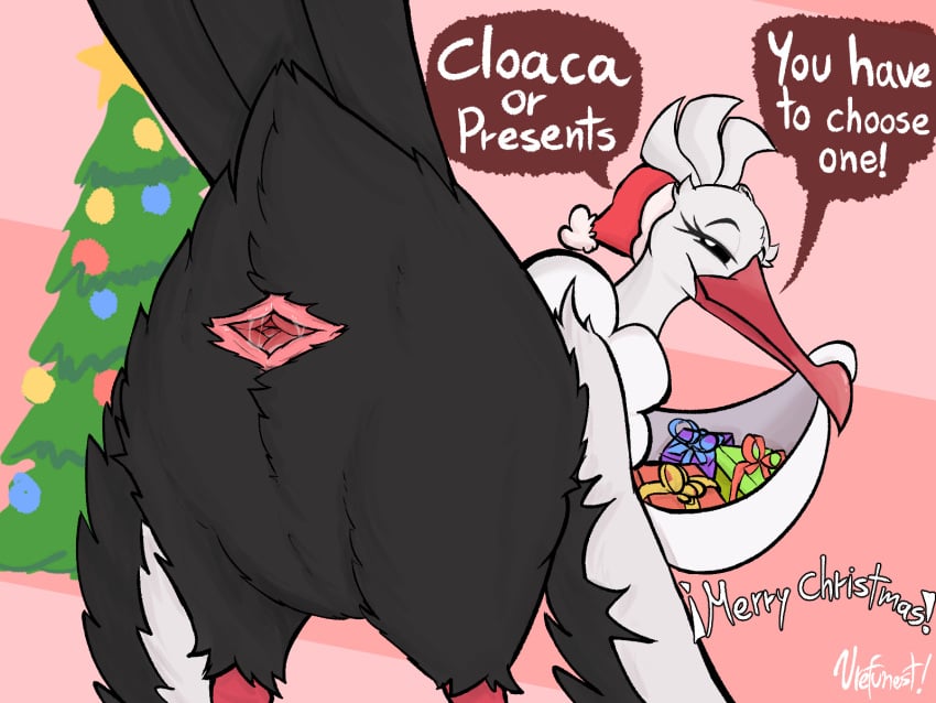 2024 animal_genitalia avian beak bird bombirdier christmas cloaca english_text feathers female generation_9_pokemon genitals gift hi_res holidays nintendo pokemon pokemon_(species) presenting presenting_cloaca text urefunest