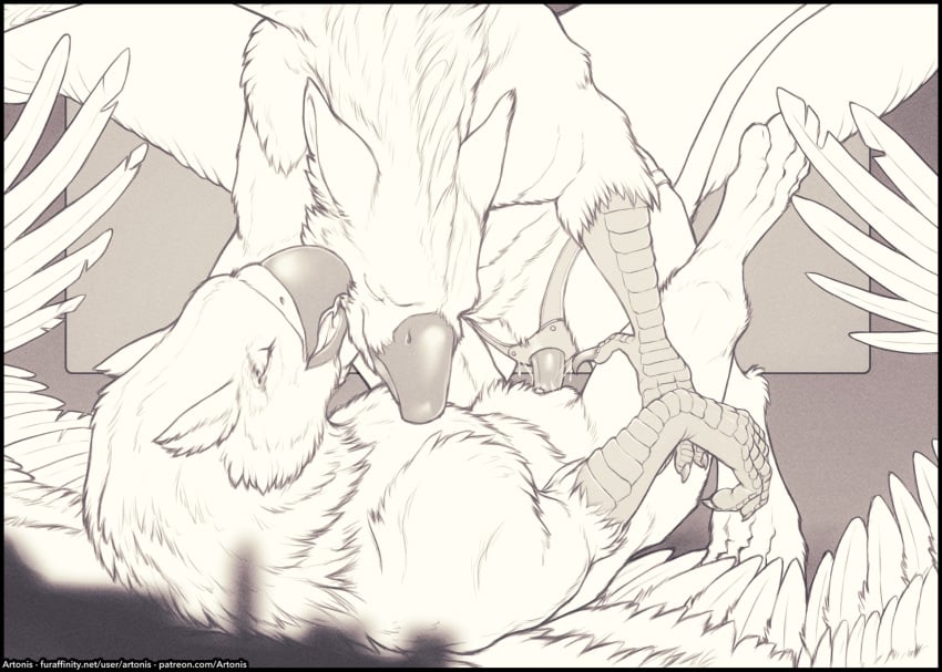 artonis avian beak black_and_white claws duo feathered_wings feathers feet female female/female feral gryphon hi_res monochrome muscular muscular_female muscular_feral mythological_avian mythological_creature mythology penetration strapon talons toes vaginal_penetration vaginal_penetration wings