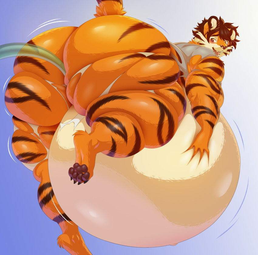 4_toes anthro artisipancake ass belly big_belly big_butt blush brown_eyes clothing feet felid fur hair hi_res huge_butt hyper hyper_belly inflation kaydex looking_back male mammal muscular muscular_anthro muscular_male navel open_mouth orange_body orange_fur pantherine solo stripes thick_thighs tiger toes torn_clothing