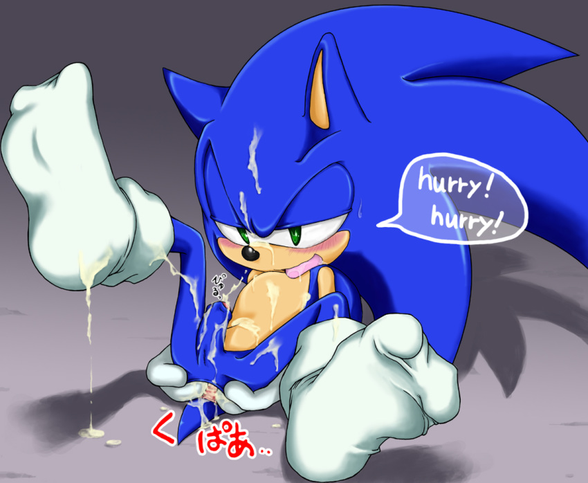 2009 anthro cum footwear fur hedgehog male male_only mammal nude shoppaaaa sitting socks solo sonic_(series) sonic_the_hedgehog sonic_the_hedgehog_(series) spread_legs tagme text