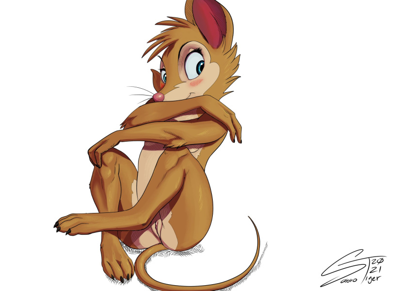 blue_eyes blush blush_lines clitoral_hood don_bluth female fur furry furry_only genitals hi_res mammal milf mouse mrs._brisby murid murine pussy rodent sabrotiger secret_of_nimh simple_background sitting sitting_on_tail solo tail white_background