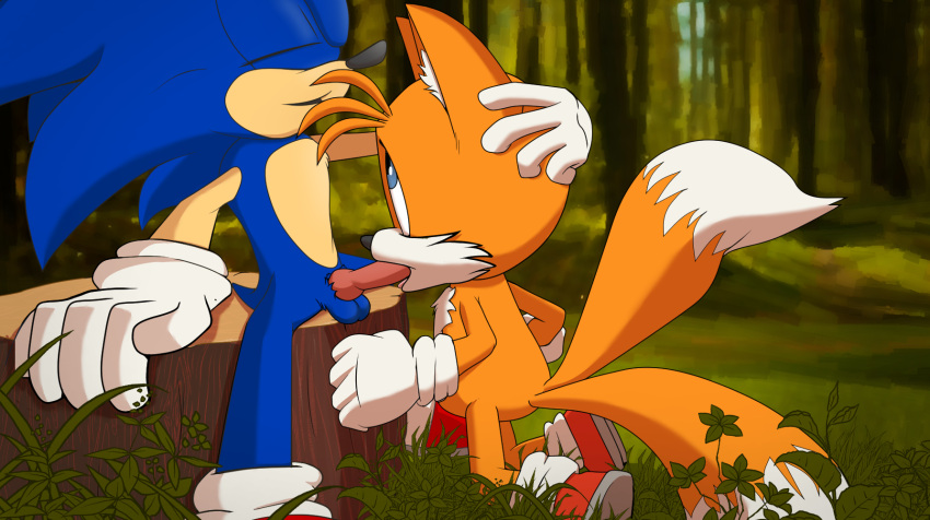 anthro canid canine colrblnd duo eulipotyphlan fellatio fox fur hand_on_head hedgehog hi_res knot male male/male mammal oral orange_body orange_fur penile sega sex sonic_(series) sonic_the_hedgehog tails tongue video_games