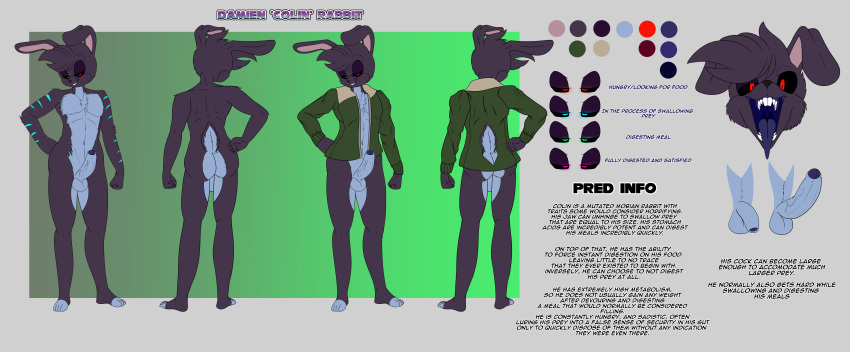 absurd_res anthro ass balls bottomless clothed clothing foreskin foxynoms furry genitals hi_res humanoid_genitalia humanoid_penis lagomorph leporid male mammal model_sheet nude penis rabbit solo