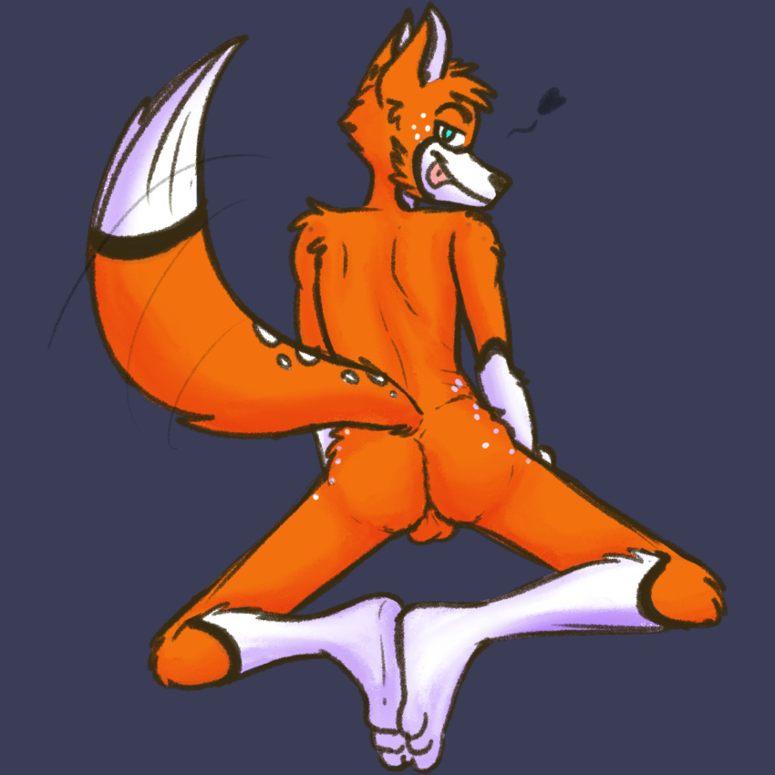 1:1 1boy 2020 3_toes anthro ass balls blue_eyes canid canine feet fox fur furry genitals hi_res humanoid_genitalia looking_at_viewer male mammal multicolored_body multicolored_fur nude orange_balls orange_body orange_fur presenting presenting_hindquarters simple_background solarlewds solo spam_(zoophobia) toes tongue tongue_out two_tone_body two_tone_fur vivienne_medrano white_body white_fur zoophobia