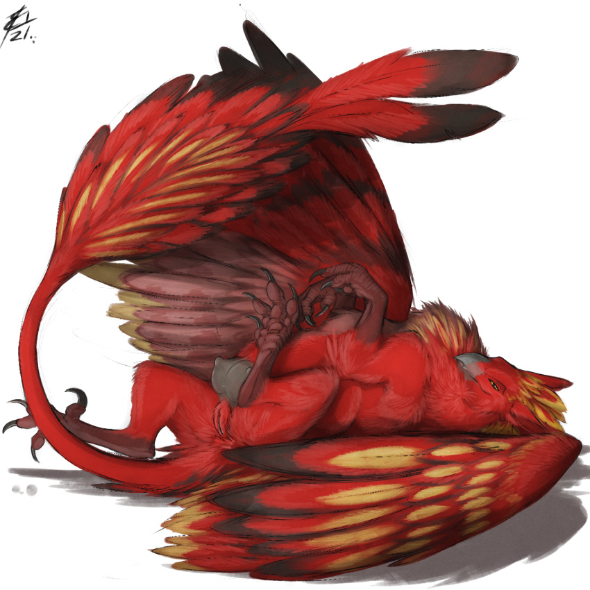 1:1 animal_genitalia avian beak claws cloaca crotchboobs feathered_wings feathers female feral genitals gryphon half-closed_eyes hi_res lizet looking_at_viewer lying mythological_avian mythology narrowed_eyes on_back red_body red_feathers rovoska smile solo talons wings