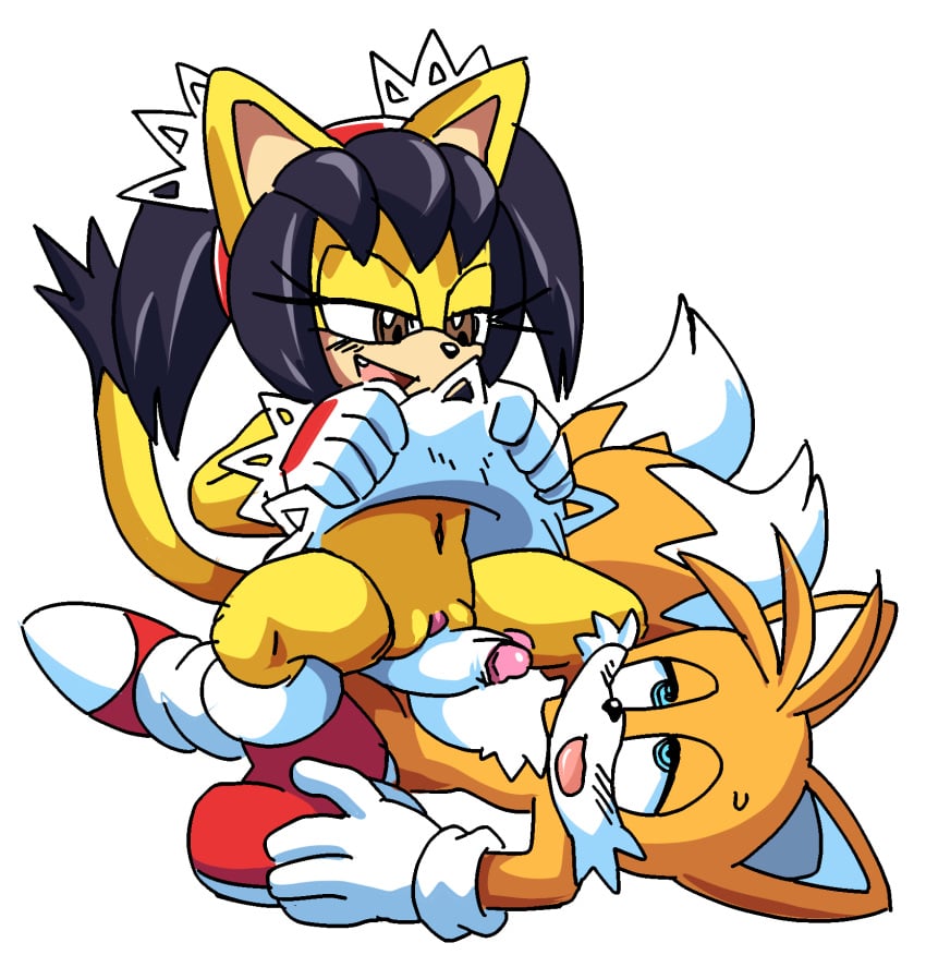 coolblue edit exposed_torso female footwear gall_(editor) grinding grinding_on_penis handwear honey_the_cat humping humping_dick male orange_fur self_upload smile sonic_(series) sonic_the_hedgehog_(series) tails yellow_fur