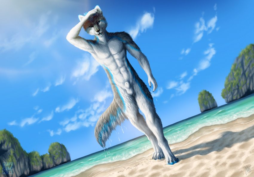 2019 animal_genitalia anthro balls beach biped black_nose blue_body blue_eyes blue_fur blue_tongue canid canine canis casual_nudity claws cloud detailed_background digital_media_(artwork) domestic_dog fully_sheathed fur furry genitals grey_body grey_fur humanoid_hands husky kippycube looking_at_viewer male mammal nordic_sled_dog nude outside paws pecs sea seaside sheath sky solo solo_male spitz standing techno-robot-fox tongue water wet whiskers white_body white_fur