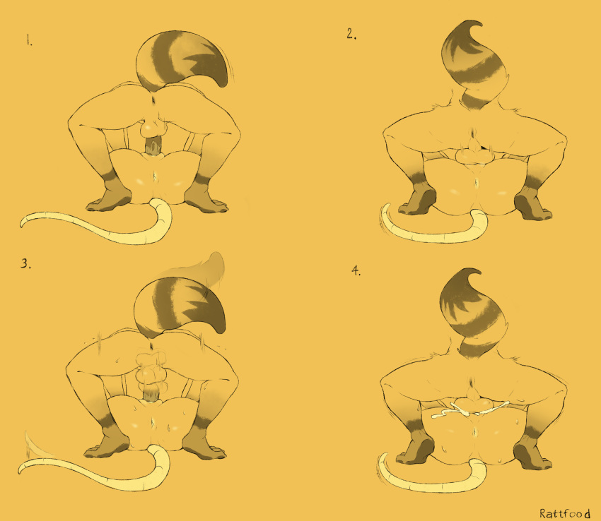 absurd_res anthro anus ass balls balls_deep bodily_fluids comic cum dozybunn duo female genital_fluids genitals hi_res male male/female mammal mating_press monochrome morgan murid murine penetration procyonid raccoon rat rear_view rodent sex simple_background sweat yellow_and_black yellow_theme