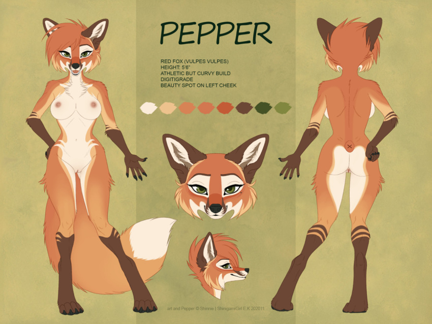 2020 4:3 anthro ass breasts brown_body brown_fur canid canine cheek_tuft english_text facial_tuft female fox fur genitals gloves_(marking) green_background leg_markings mammal markings model_sheet multicolored_body multicolored_fur nipples nude open_mouth open_smile orange_body orange_fur pepper_(shinigamigirl) pussy red_fox shinigamigirl simple_background smile socks_(marking) solo standing text tuft white_body white_fur