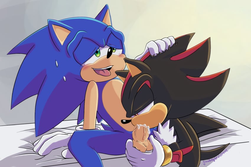 2boys fellatio hellovivirose male/male multiple_boys sega shadow_the_hedgehog sonadow sonic_(series) sonic_the_hedgehog sonic_the_hedgehog_(series) tagme yaoi