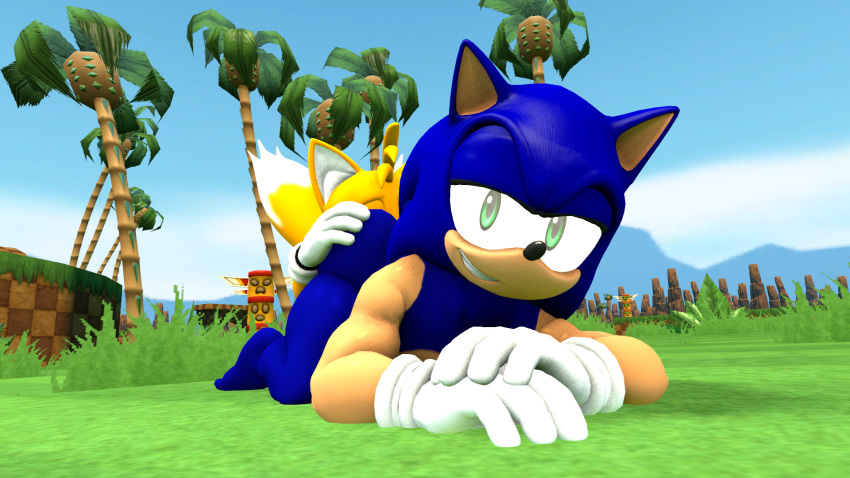 Sonic The Hedgehog (Sega) Rule 34 Image