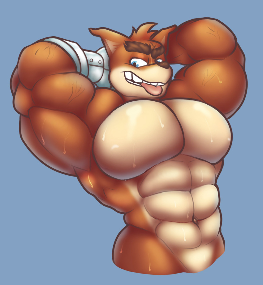 1boy abs anthro arms_behind_head bara big_breasts blue_background blue_eyes crash_(series) crunch_bandicoot flexing fur furry furry_only male male_only marsupial muscle muscles muscular muscular_male palchamon robotic_arm simple_background solo tongue tongue_out video_games