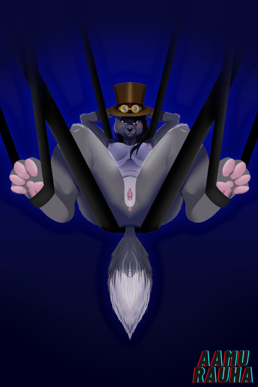 2021 2:3 4_toes absurd_res anthro anus areola bedroom_eyes black_hair black_nose blush bodily_fluids bondage bondage bound breasts brown_eyes canid canine canis clitoris clothing countershading digital_media_(artwork) dipstick_tail dripping eyewear feet female fluffy fluffy_tail front_view fur genital_fluids genitals goggles gradient_background grey_body grey_fur hair hat headgear headwear hi_res hindpaw humanoid_genitalia linocamara long_hair looking_at_viewer lucy_lindewolf mammal multicolored_body multicolored_fur multicolored_tail narrowed_eyes nipples nude pawpads paws pink_nipples pinup pose presenting presenting_pussy pussy pussy_juice seductive shaded signature simple_background solo spread_legs spreading steampunk thick_thighs toes top_hat two_tone_body two_tone_fur two_tone_tail wolf