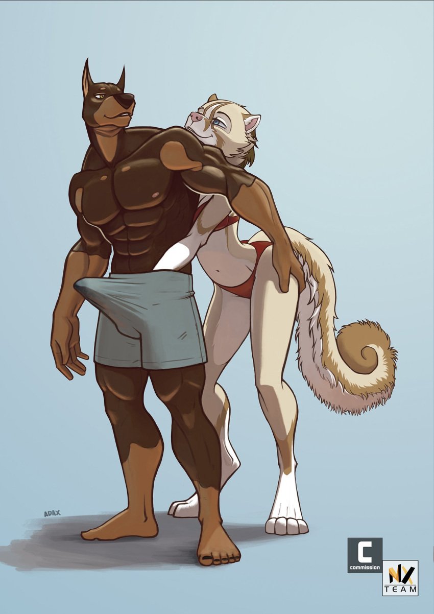 2019 4_toes 5_fingers 5_toes abs anthro athletic athletic_anthro athletic_male barefoot bikini black_nose bodily_fluids breasts brown_body brown_fur canid canine canis clothed clothing countershade_face countershade_legs countershade_torso countershading digitigrade dobermann domestic_dog duo erection erection_under_clothing feet female fingers fish fondling fur genital_fluids grope grope_from_behind groping_crotch hand_on_butt hi_res hindpaw humanoid_feet humanoid_hands husky hybrid looking_at_another looking_at_partner looking_back looking_back_at_partner lutrine male male/female mammal marine multicolored_body multicolored_fur muscular muscular_anthro muscular_male mustelid natasha_(gasaraki2007) navel nexus nipples nordic_sled_dog paws pecs pink_nose pinscher plantigrade precum precum_through_clothing signature simple_background smile spitz standing swimming_trunks swimwear tan_body tan_fur toes topless topless_male two_tone_body two_tone_fur wet wet_clothing white_body white_countershading white_fur