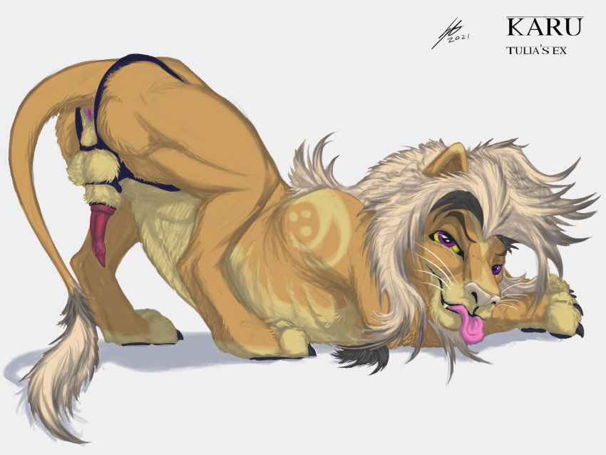 anatomically_correct anatomically_correct_anus anatomically_correct_genitalia anatomically_correct_penis animal_genitalia anus ass balls digital_media_(artwork) erection felid feral fur genitals harness hi_res karu_(soulgryph) lineless lion looking_at_viewer male mammal nude pantherine penile_spines penis pinup pose presenting presenting_anus presenting_hindquarters presenting_penis purple_eyes quadruped solo soulgryph