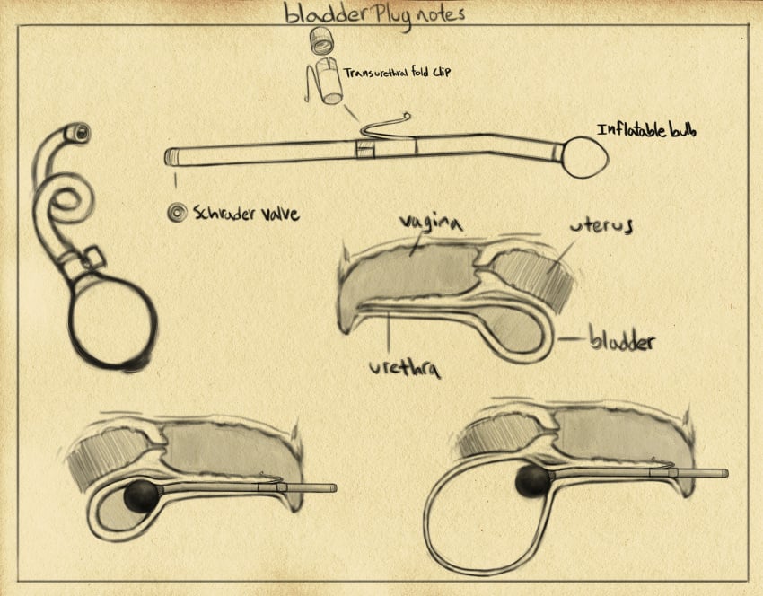 anatomy bladder bladder_plug contraption_concept design diagram difetra equine horse mammal pony urethra urethral urethral_insertion