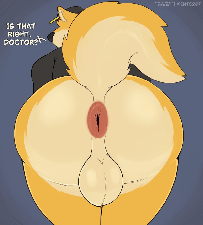 Absurd Res Rule 34 Image
