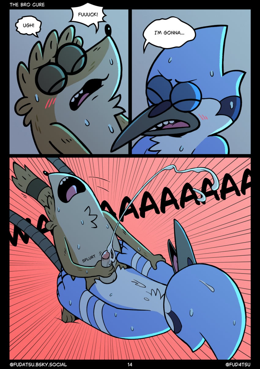 Jay (Bird) Rule 34 Image