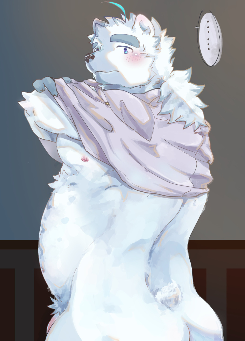 2021 absurd_res anthro ass belly blush clothing erqi_27 genitals hi_res kemono knights_college male mammal overweight overweight_male paul_(knights_college) penis polar_bear shirt solo topwear undressing ursid ursine video_games visual_novel