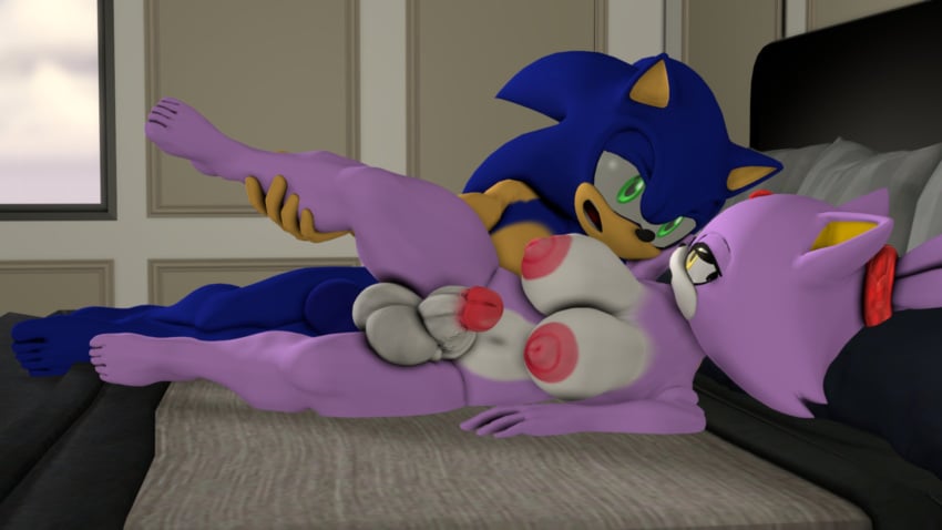 3d anal anthro anthro_on_anthro black_nose blaze_the_cat blue_body breasts domestic_cat furry futanari green_eyes herm intersex male_on_futa penis purple_body sex sonic_(series) sonic_the_hedgehog sonicthebitch tan_body white_body yellow_eyes