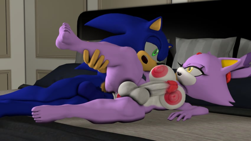 3d anal anthro anthro_on_anthro black_nose blaze_the_cat blue_body breasts domestic_cat furry futanari green_eyes herm intersex male_on_futa penis purple_body sex sonic_(series) sonic_the_hedgehog sonicthebitch tan_body white_body yellow_eyes