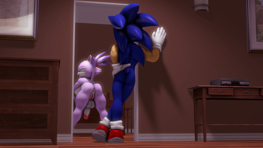 3d anthro anus balls blaze_the_cat blue_body domestic_cat forehead_jewel furry futanari gem half-closed_eyes hedgehog herm intersex male penis purple_body purple_hair pussy raised_tail sega smile sonic_(series) sonic_the_hedgehog sonicthebitch white_body yellow_eyes