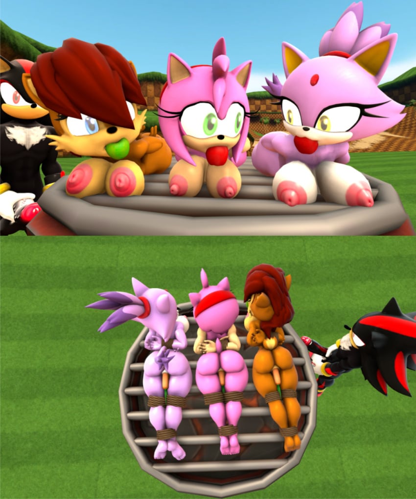 3d amy_rose bdsm blaze_the_cat cannibalism cooking cooking_vore food_insertion grill gynophagia large_breasts pj87 sally_acorn sfm shadow_the_hedgehog sonic_(series) tied_up