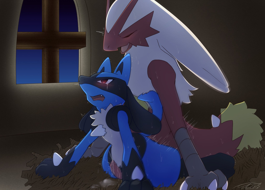 2020 3_fingers anal anal_sex anthro anthro_on_anthro avian blaziken blue_body blue_fur blush bodily_fluids canid canine duo fingers fur genital_fluids genitals hi_res looking_pleasured lucario male male/male mammal netiel nintendo open_mouth penetration penis pokemon pokemon_(species) red_body red_eyes red_fur sex tears video_games window