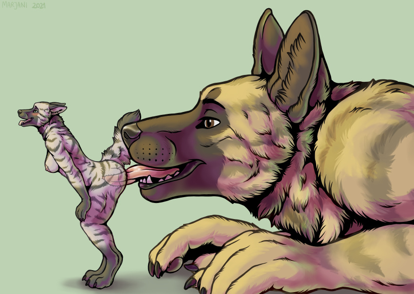 2021 ambiguous_gender anthro canid canine canis domestic_dog dutch_shepherd female female/ambiguous fur herding_dog hi_res macro mammal marjani open_mouth pastoral_dog penetration plushie sheepdog size_difference tongue tongue_out vaginal_penetration vaginal_penetration