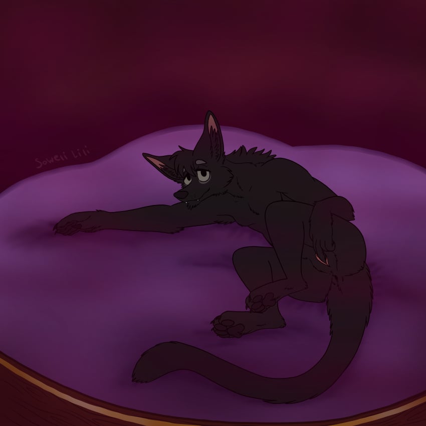 Fenwick (Sowelilili) Rule 34 Image