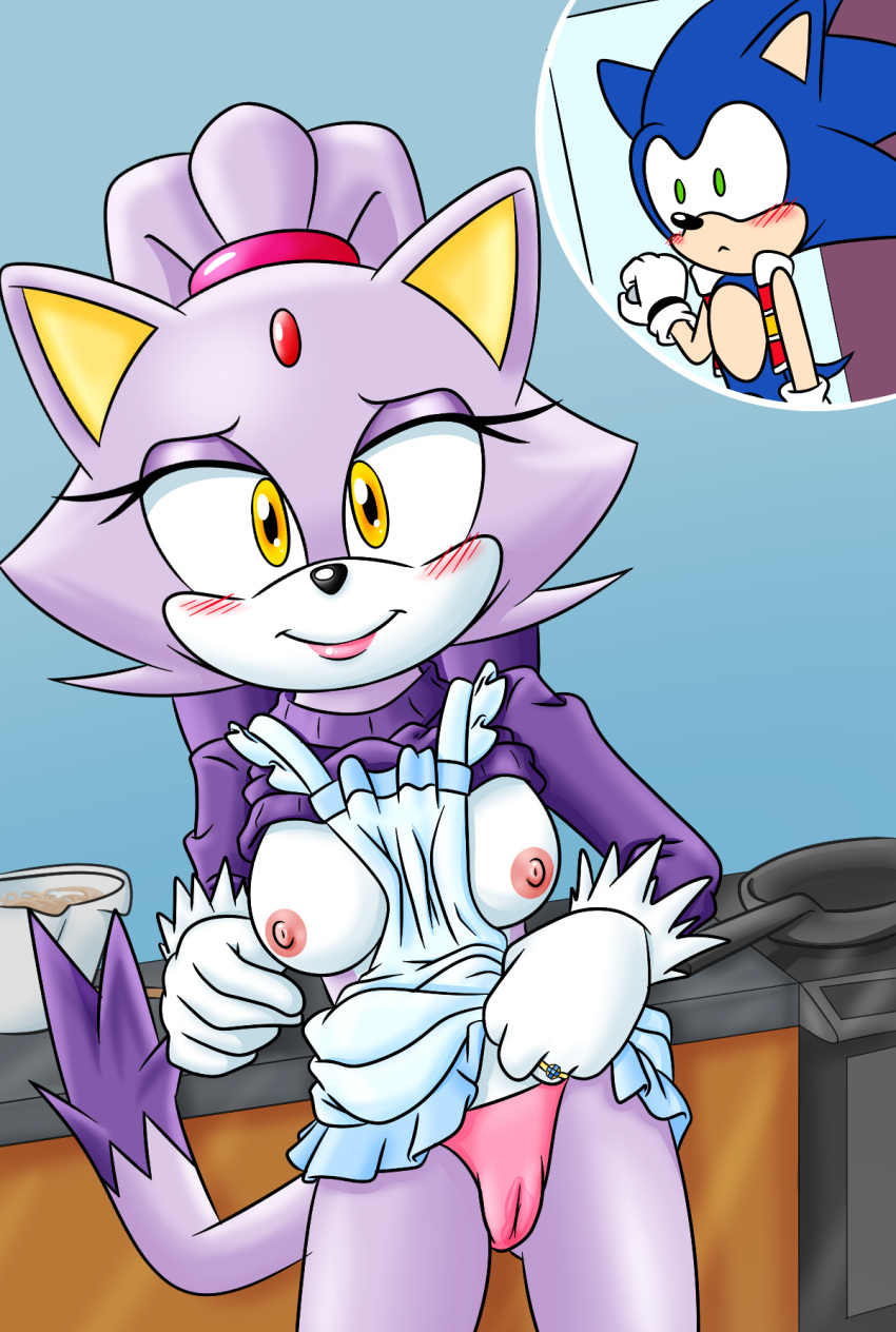 aged_up anthro black_nose blaze_the_cat blue_body blue_hair blush breasts cameltoe domestic_cat duo eyelashes fingers forehead_jewel gem gloves hedgehog jewelry lifted_by_self lipstick looking_at_viewer makeup mammal milf nipples panties ponytail purple_body purple_hair ring sega smile sonaze_ sonic_(series) sonic_the_hedgehog sonicguru tan_body wet_panties white_body yellow_eyes