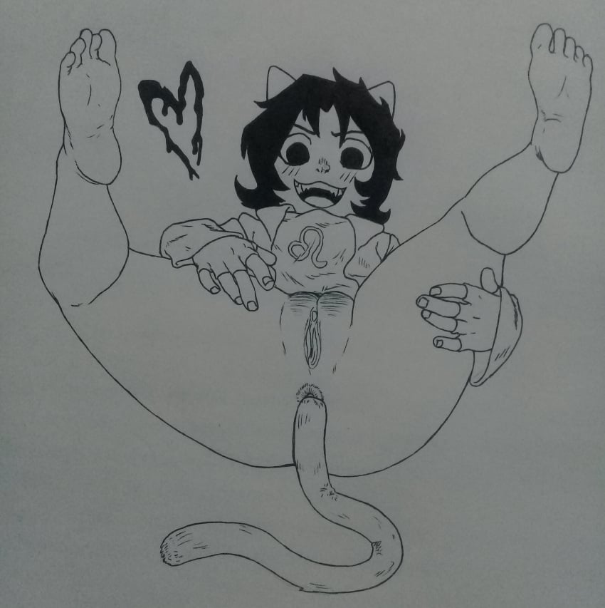 Nepeta Leijon (Homestuck) Rule 34 Image