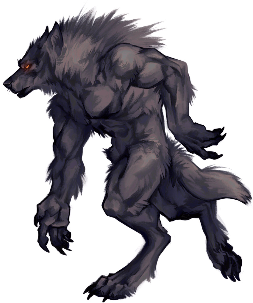 animal_genitalia anthro biceps canid canine canis genitals hi_res male mammal muscular muscular_anthro muscular_male nmvsolidus nude pecs sheath simple_background solo were werecanid werecanine werewolf white_background wolf